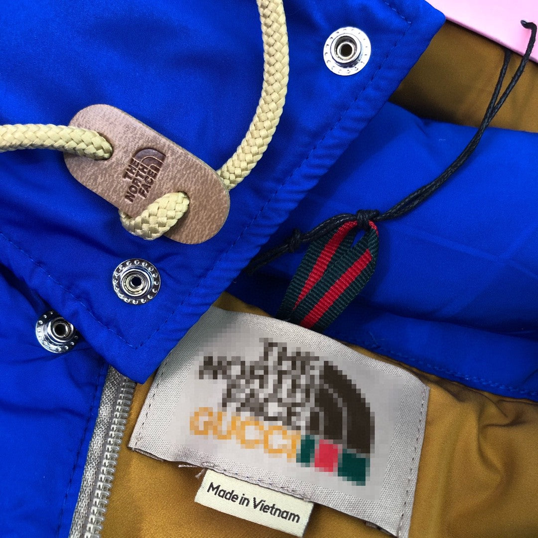 The North Face Sierra Down Parka Inspired Blue