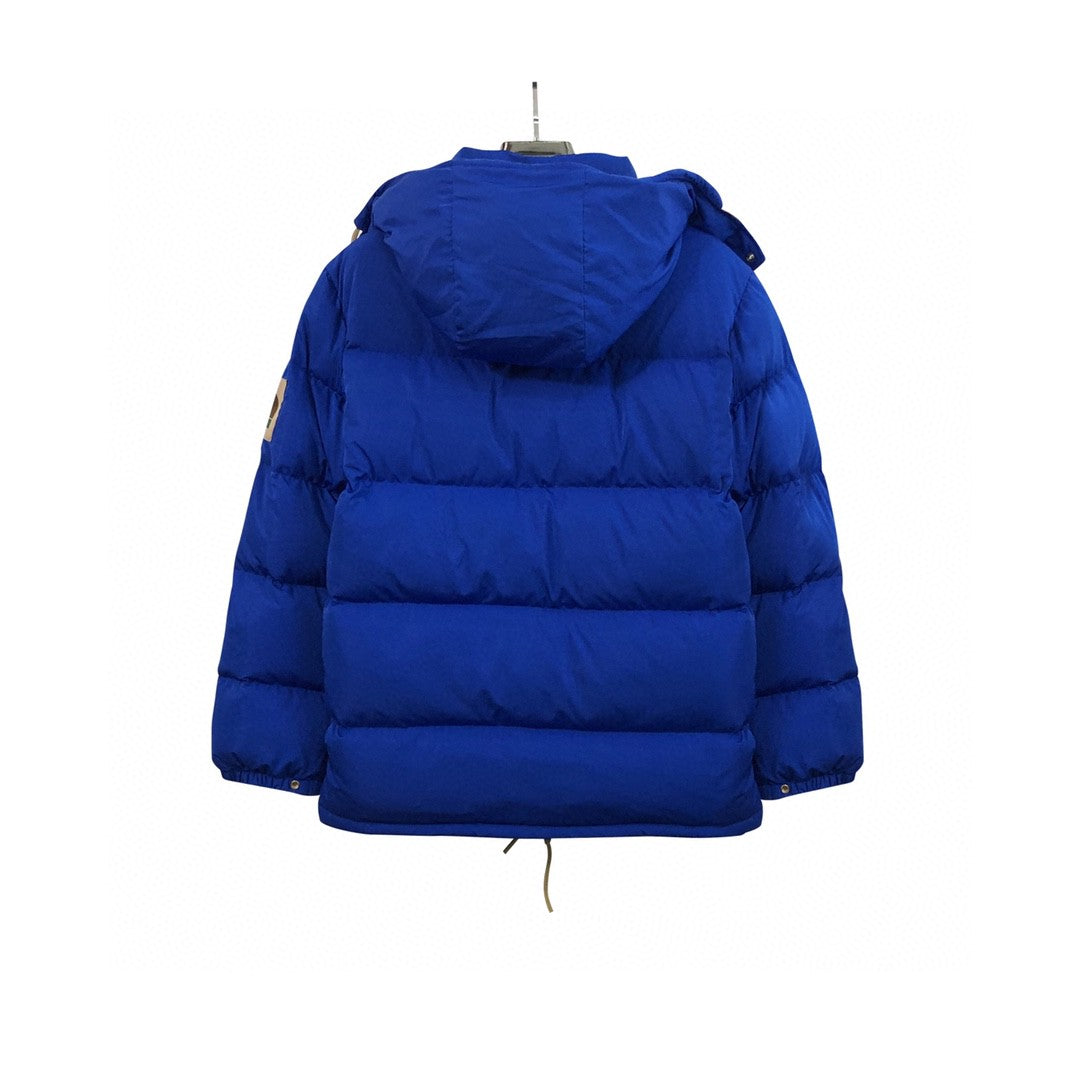 The North Face Sierra Down Parka Inspired Blue