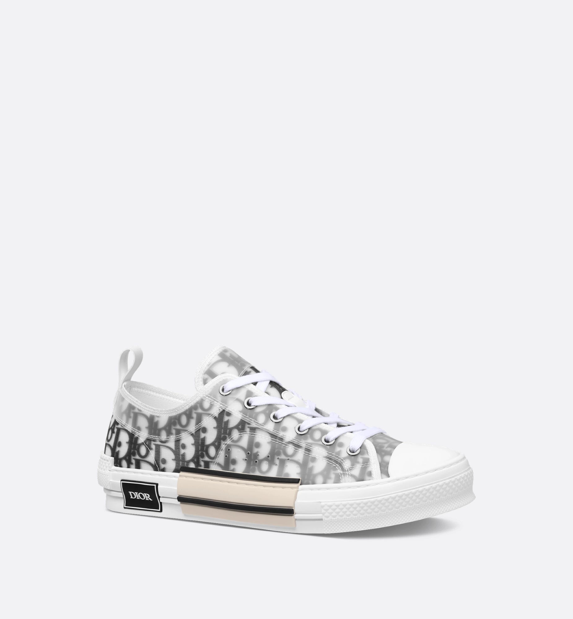 Dior B23 Low "Dior Oblique"