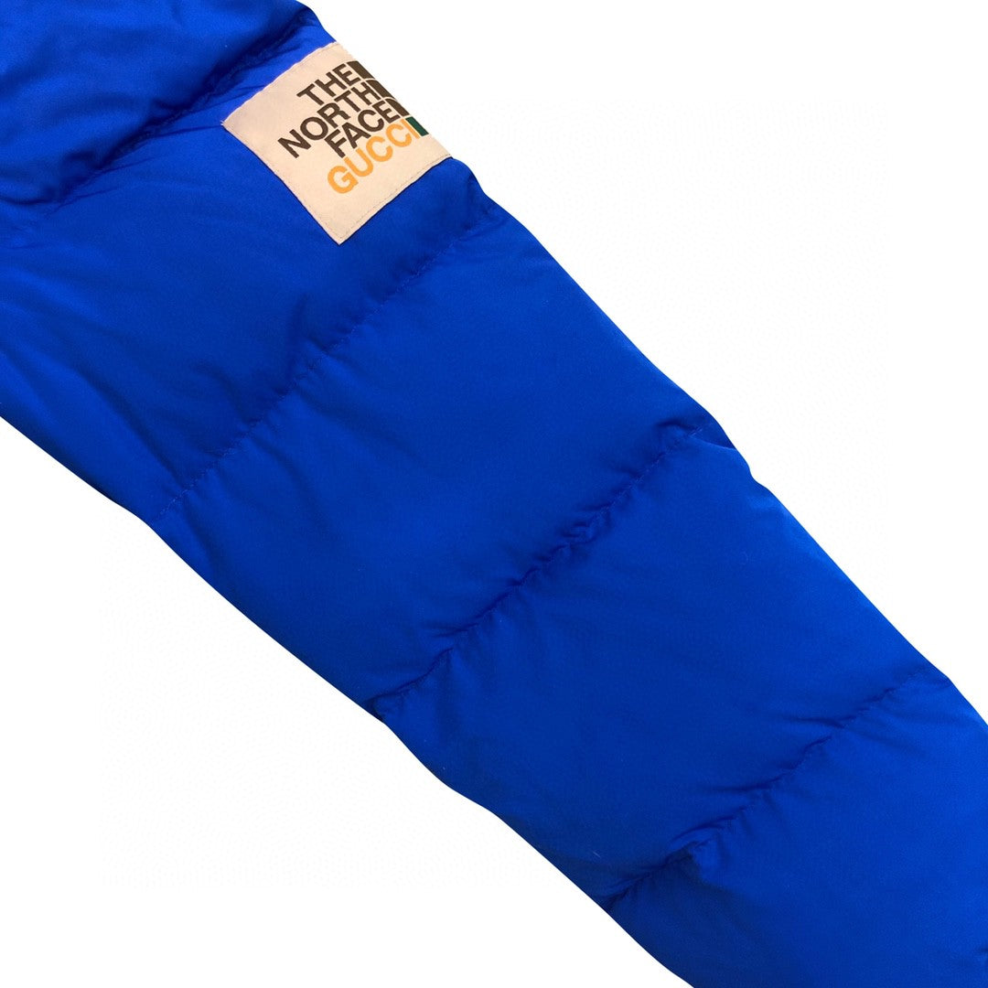 The North Face Sierra Down Parka Inspired Blue