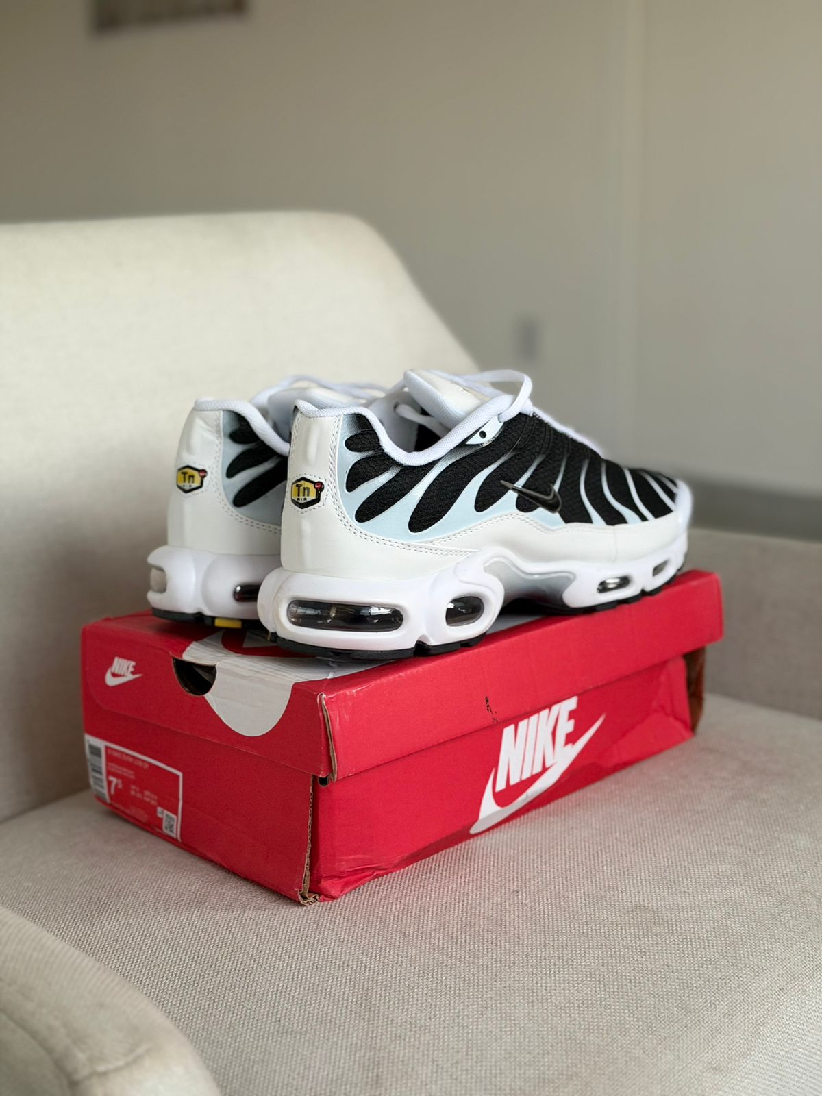 Air Max TN Plus Killer Whale (43, Pronta Entrega)