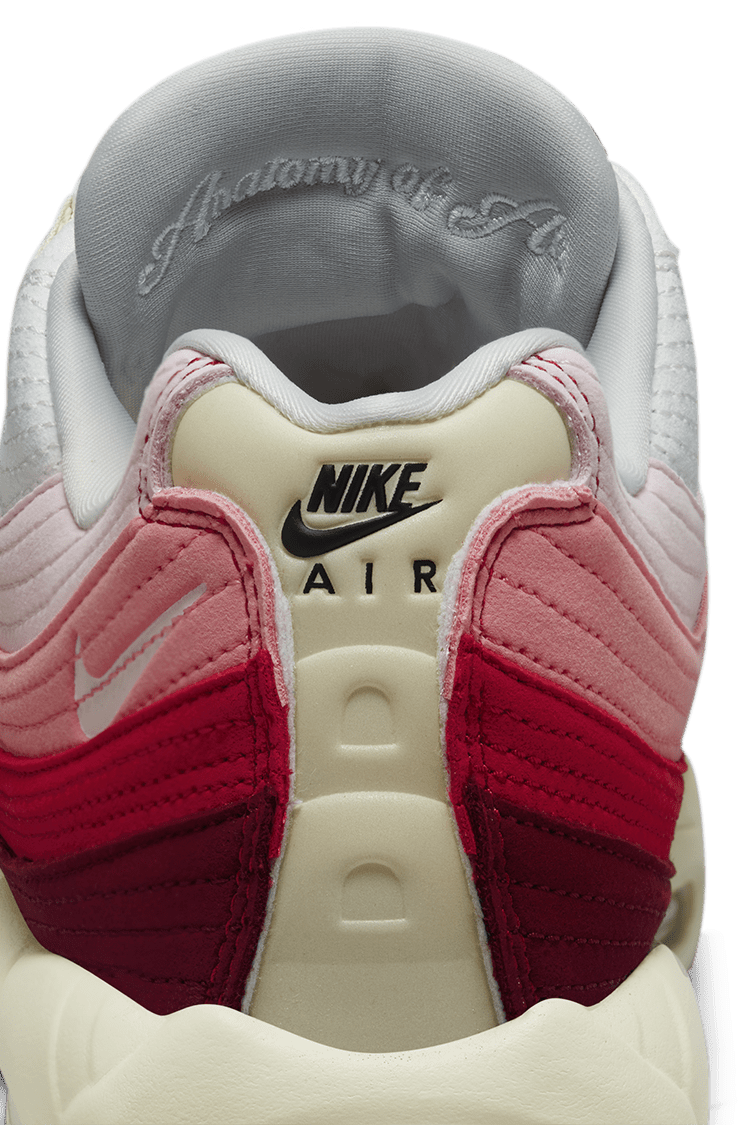 Nike Air Max 95 QS 'Anatomy of Air'