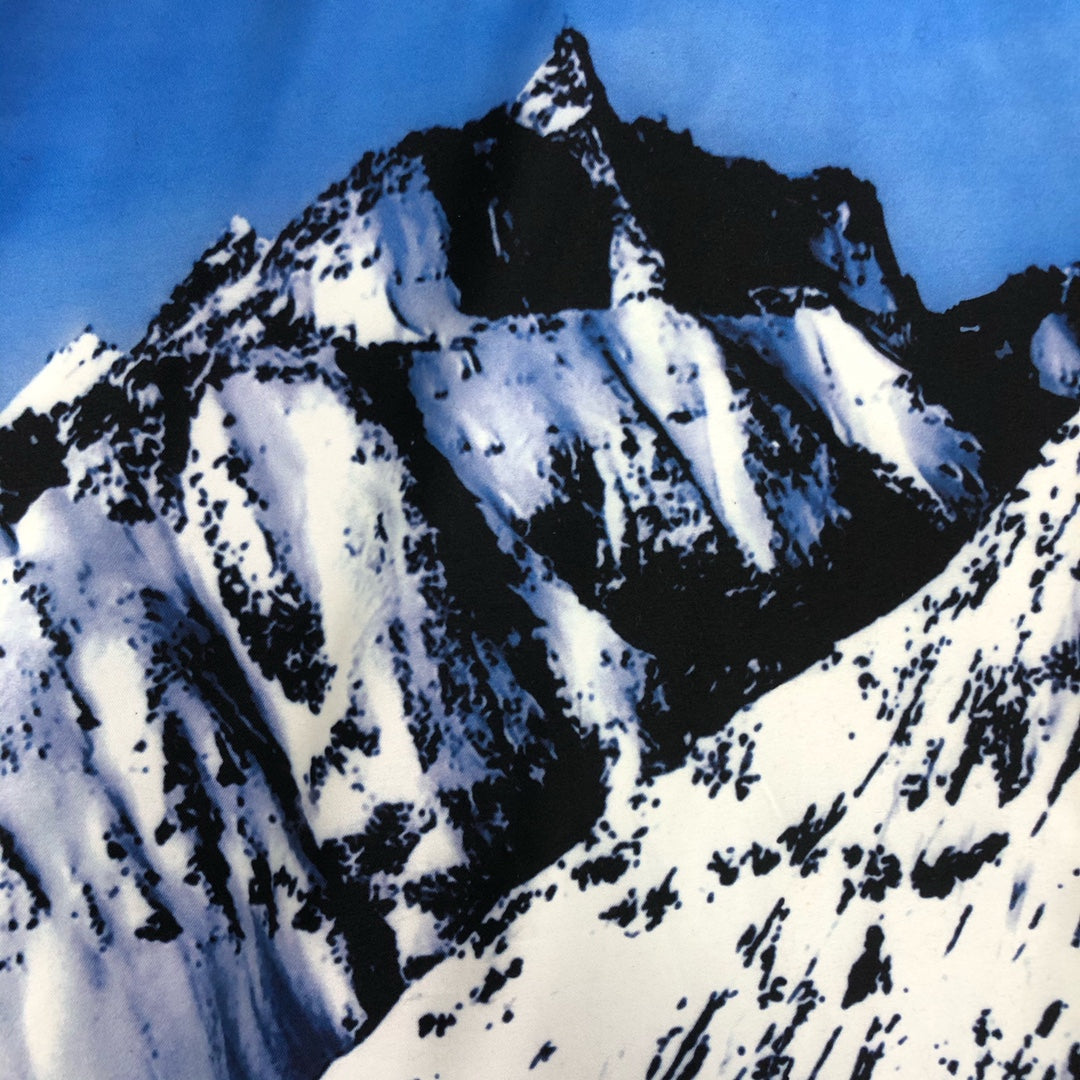 Supreme x The North Face Mountain Jacket Inspired – Snowy Peaks Edition