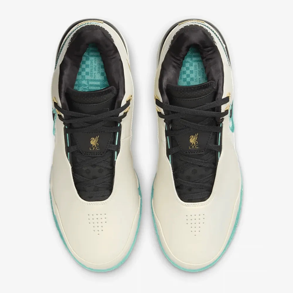 Nike LeBron NXXT Gen AMPD Light Orewood Brown Washed Teal