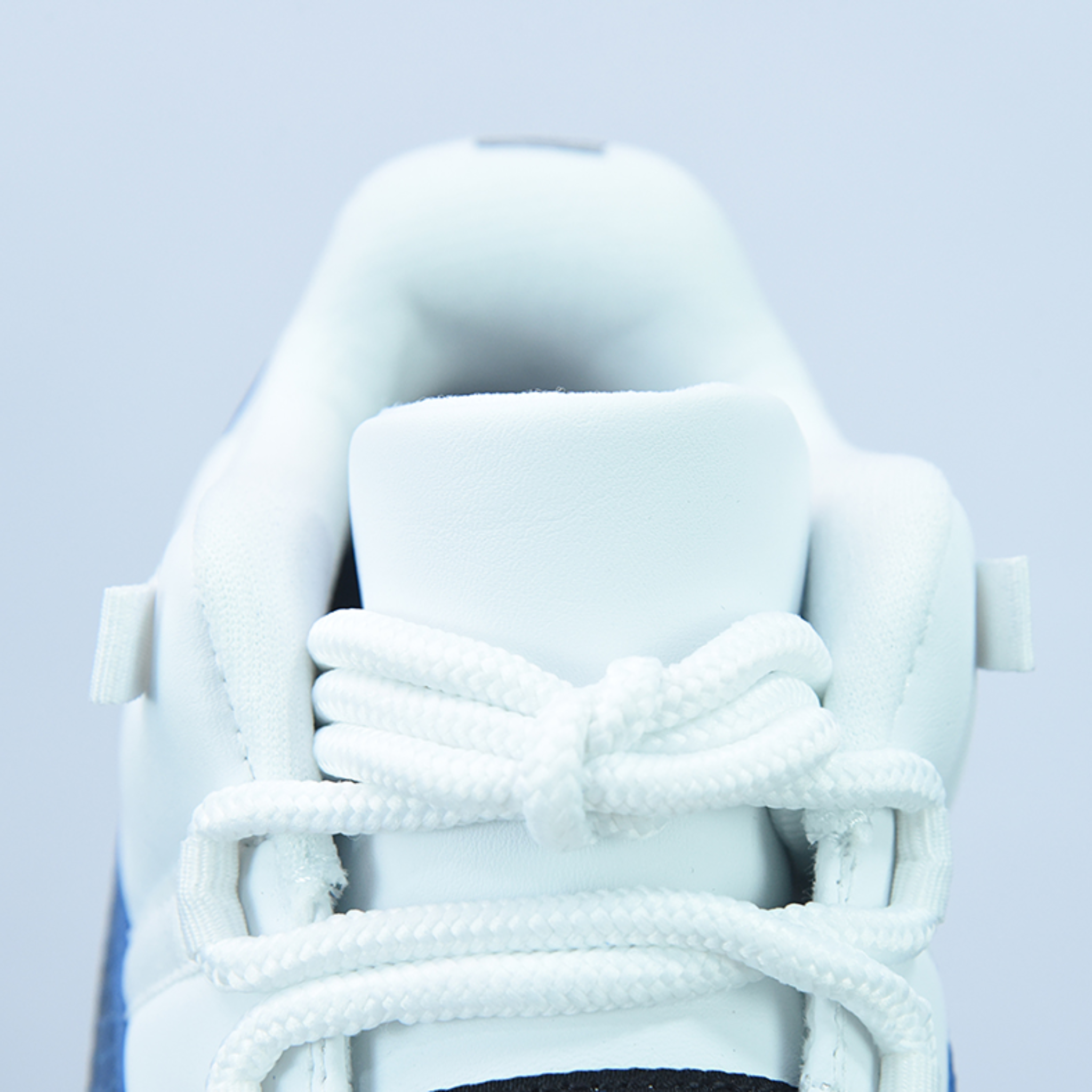 Nike Air Jordan 11 "Snake Navy"(2019)