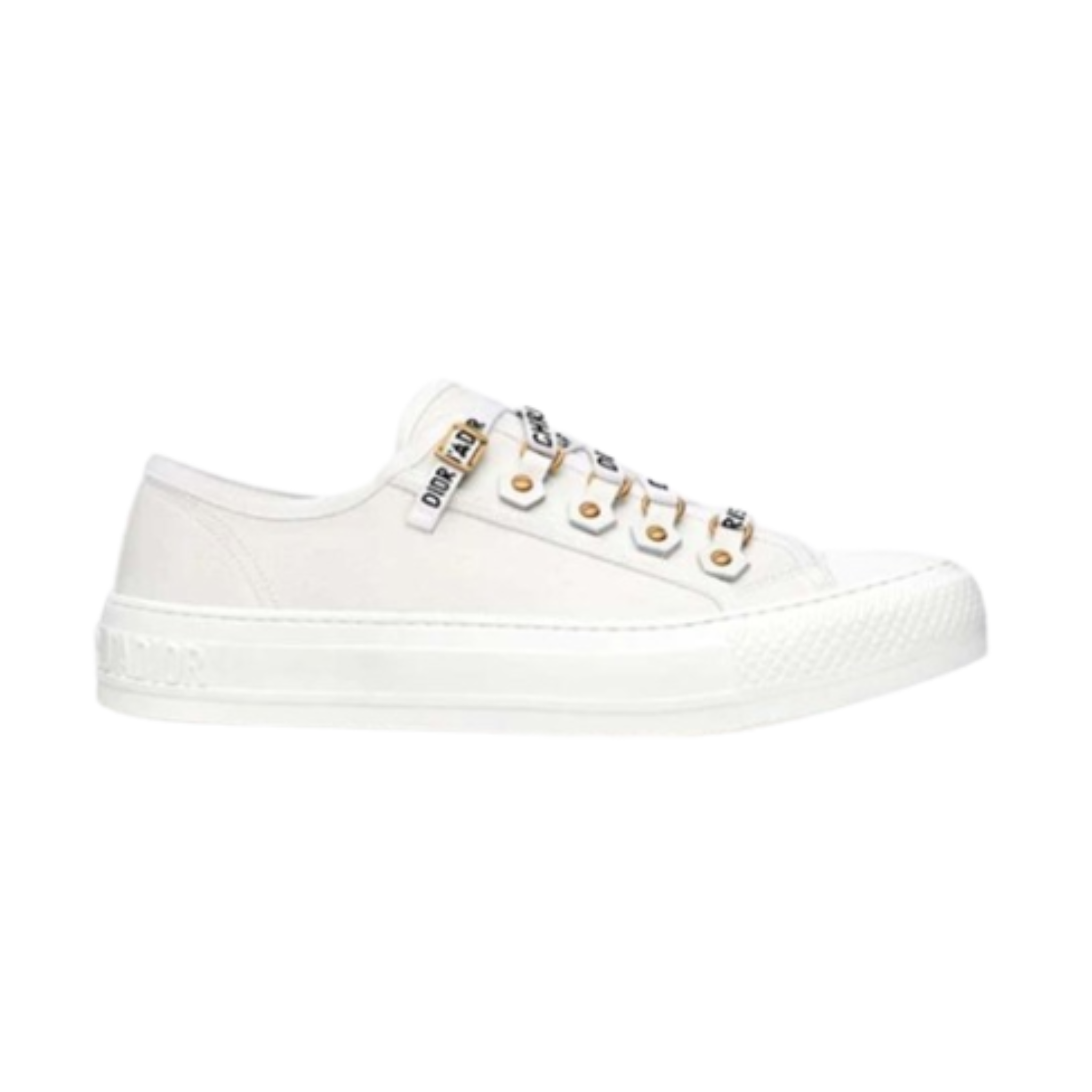 Dior Walk'N Dior Low Top Sneaker "White"