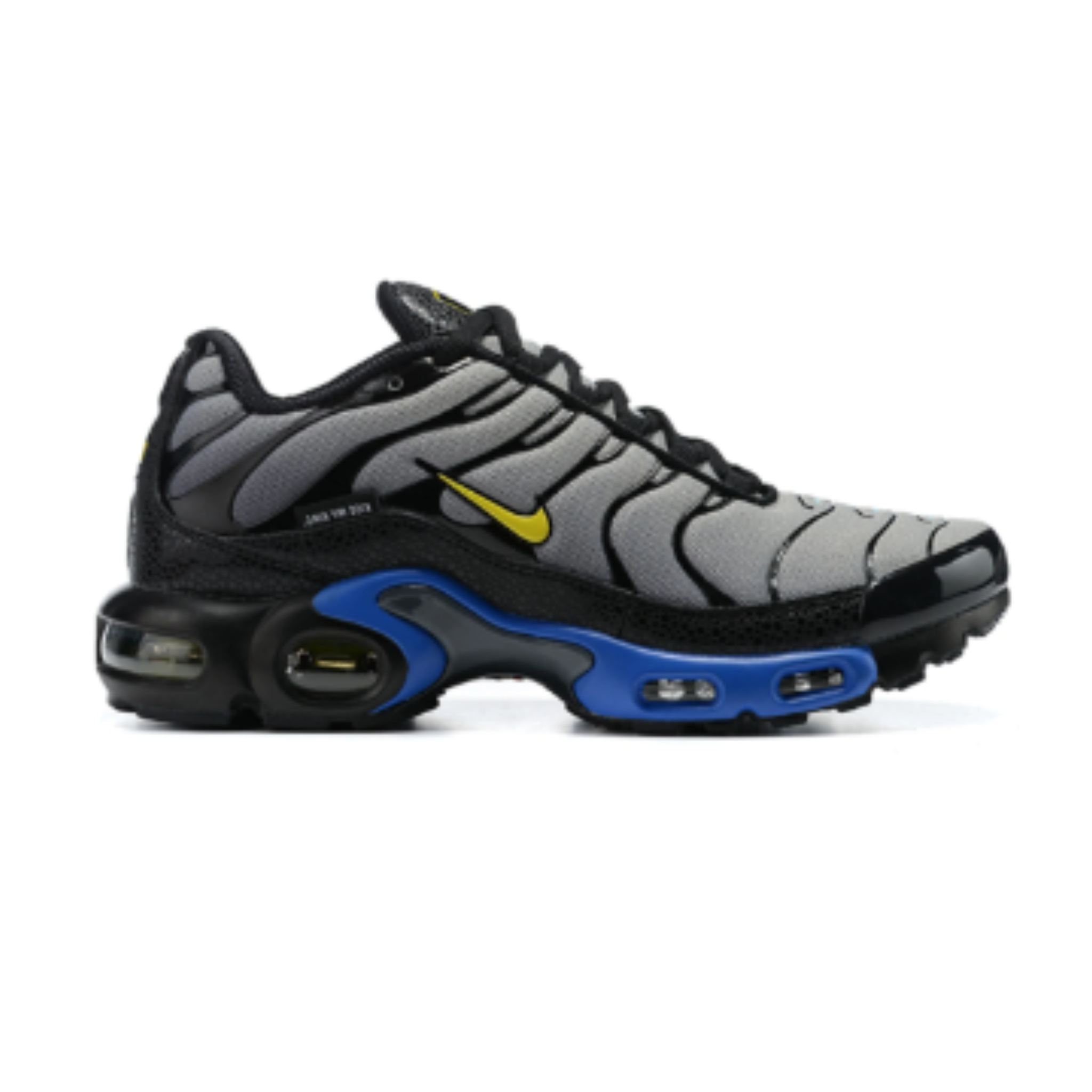 Nike Air Max Plus Blue/Black