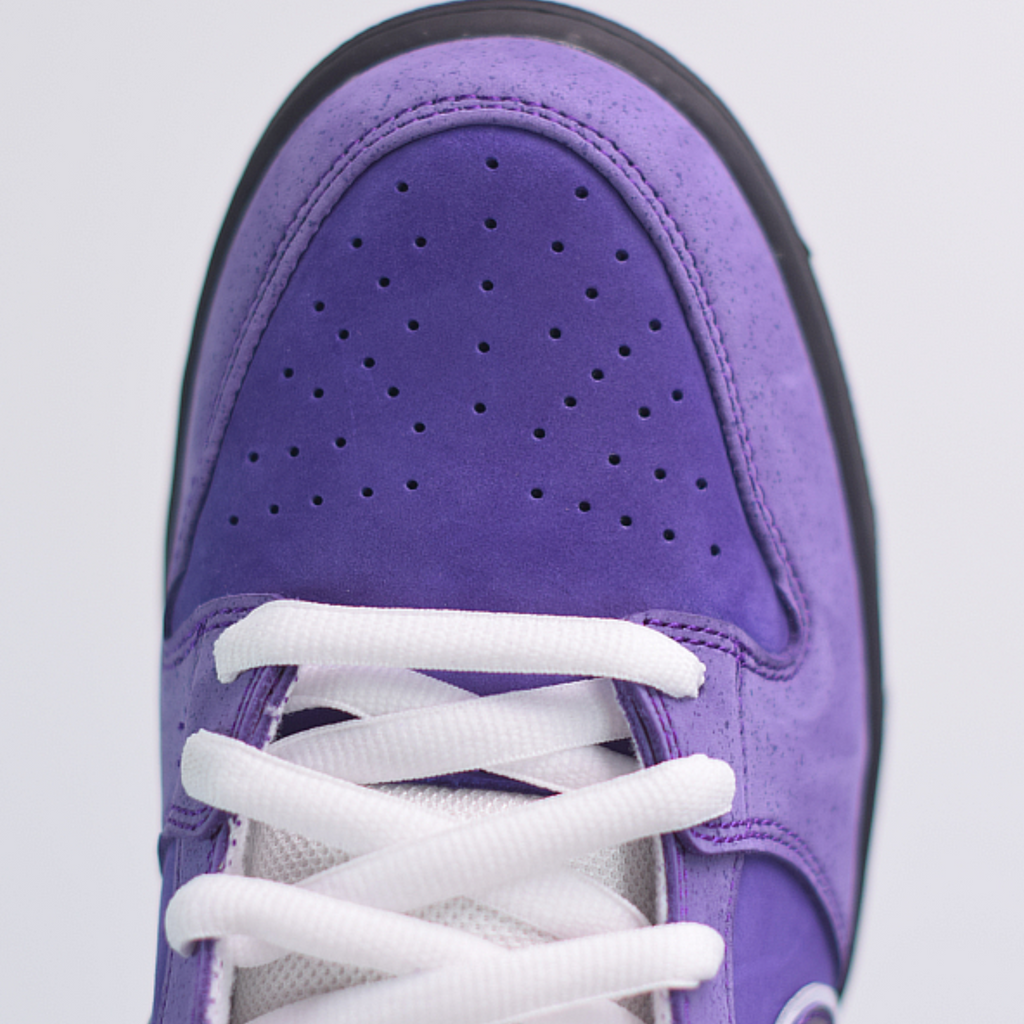 Nike sb dunk top low concepts purple lobster
