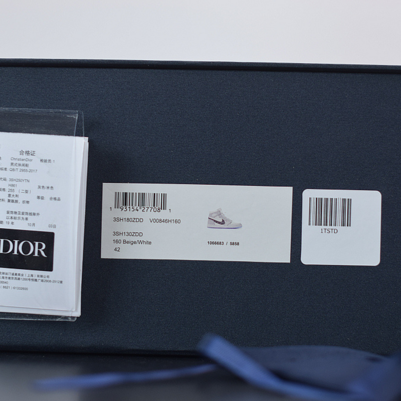 Nike Air Jordan 1 Retro High x Dior