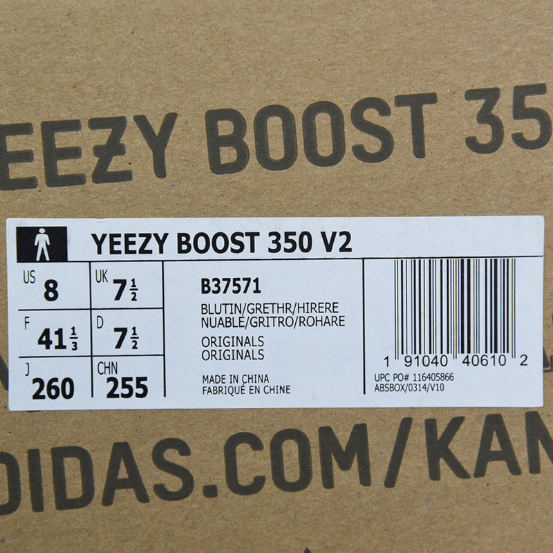 Adidas Yeezy Boost 350 V2 "Blue Tint"